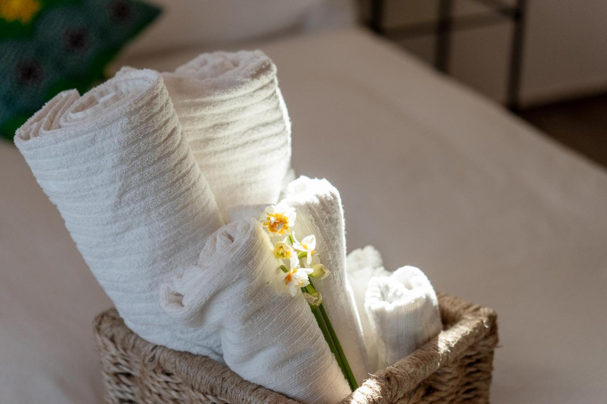 Scapezzano Casa Addis B&B מראה חיצוני תמונה
